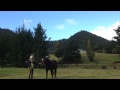 Download Breaking in my horse Breaking in my horse