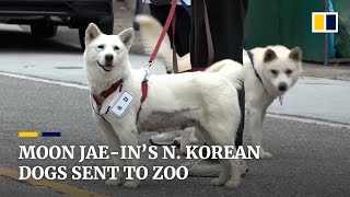 North Korean dogs gifted to Moon Jae-in resettled in South Korean zoo