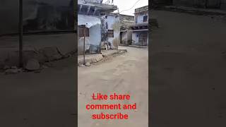 Alwar Rajasthan Ka Ek Gaon Jahana Kebal Khar Bacha
