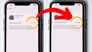 Celebrity How to Delete System Storage on iPhone Net Worth