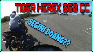 TIGER HEREX 250CC VS SATRIA FU FI VS CB HEREX [ FUN DRAG ]