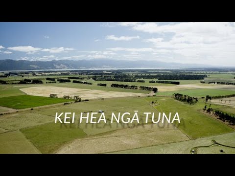 Kei Hea Ngā Tuna