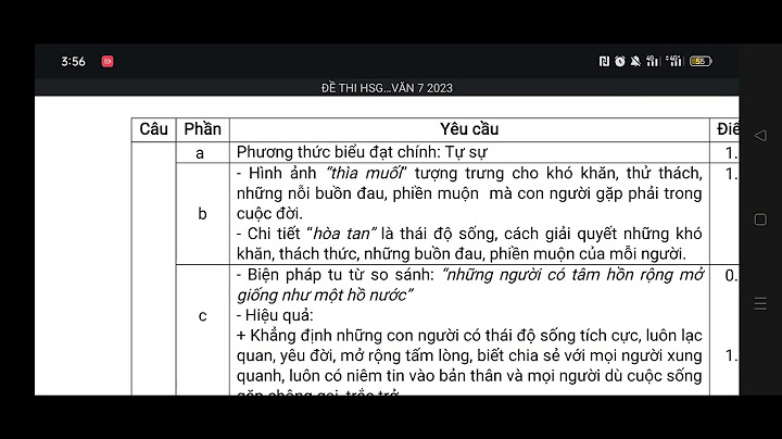 Đề thi văn học sinh giỏi lớp 7 năm 2024