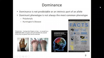 Bio110 Chapter 11 recorded lecture