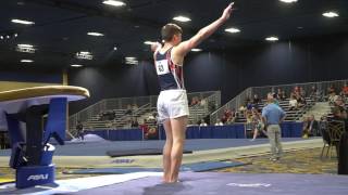 Matthew Geuy - Vault - 2017 Winter Cup Prelims