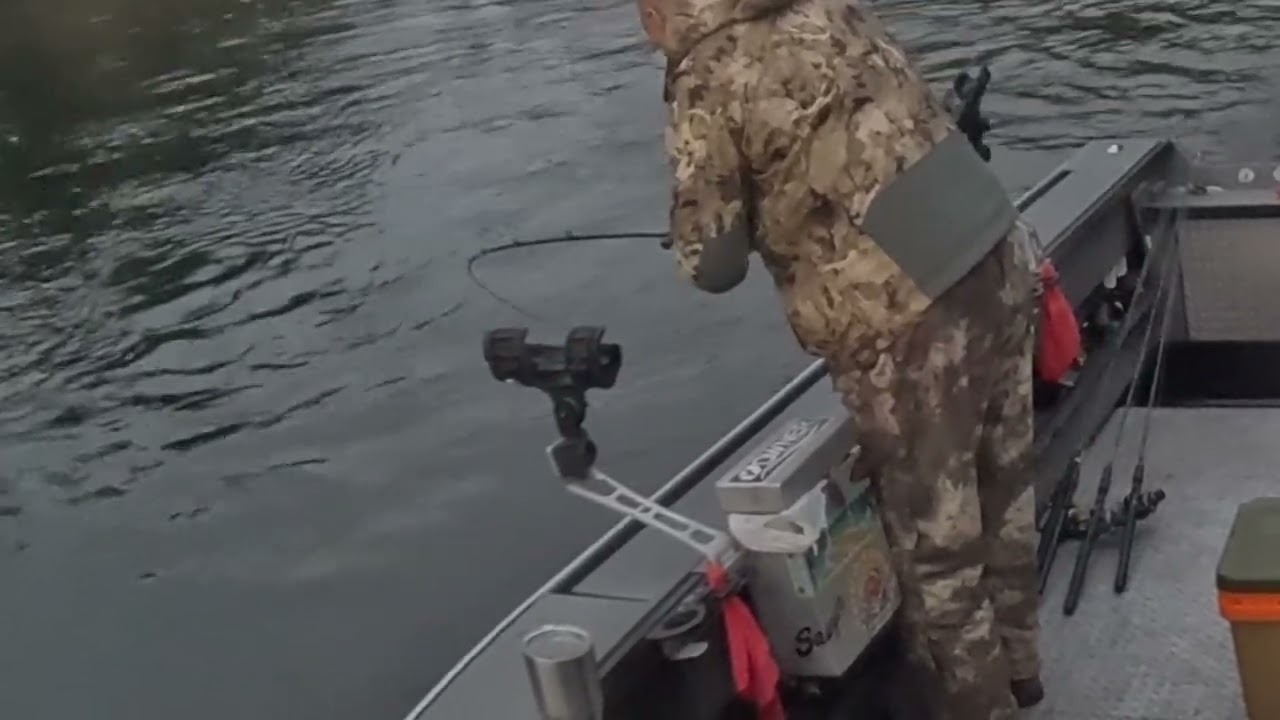 Let em eat it!! They love that 