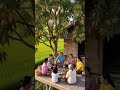 bersantai di sawah melihat pemandangan alam