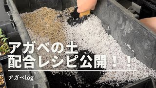 【アガベの土】のレシピ公開します！log