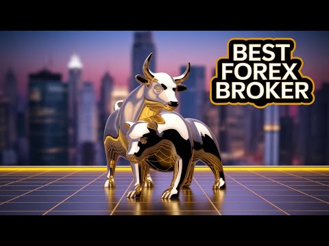 How to Choose the Best Forex Broker for Beginners | Step-by-Step Guide