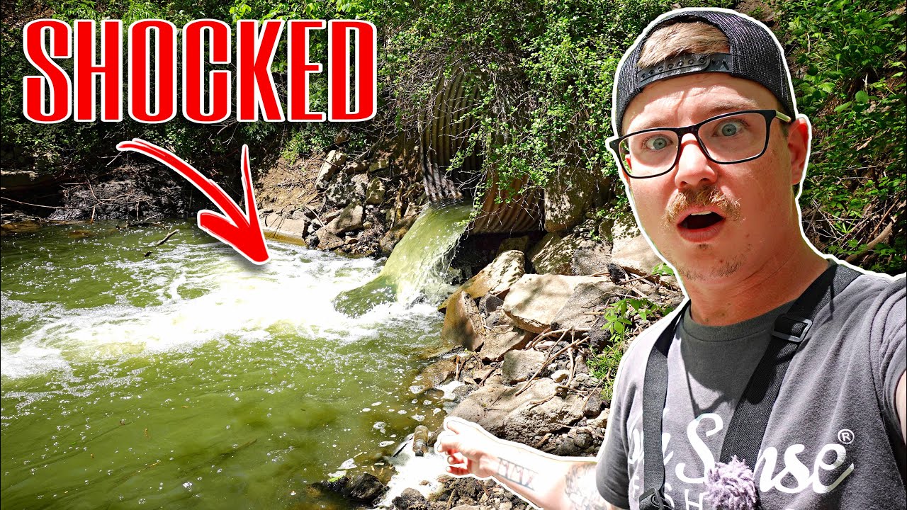 MONSTER FISH Got Pushed Into This TINY DRAINAGE DITCH!!! (One After Another)