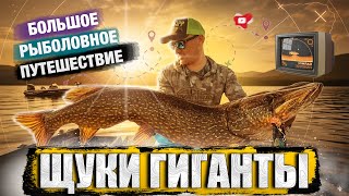 картинка: Большое рыболовное путешествие в поиске гигантских судаков и щук!