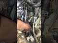 Lexus lx 570 full tuning replace sparkplugs of lx 570