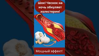 Чеснок перед сном. Холестерин в шоке!#здоровье #пользачеснока #питание #зож #здоровьеидолголетие #пп