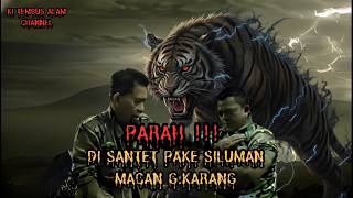 PARAH! DISANTET PAKE SILUMAN MACAN GUNUNG KARANG #horor #misteri #pengobatanalternatif #ceritahoror