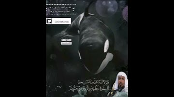 "تِلاوَة مُباركة من سورة  الصافات" " لفضيلة القارئ الشيخ | سعد الغامدي حفظه الله ورعاه"