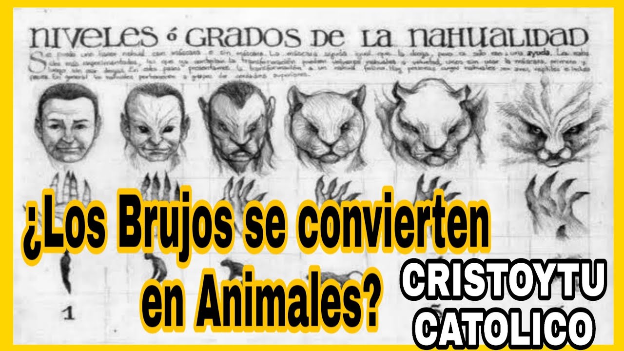 ⛔ Brujos que se convierten en Animales ¿Existen los Nahuales? - YouTube