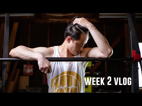 BODY TRANSFORMATION // MIGHTY MACROS // WEEK 2