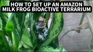 How to set up an Amazon Milk Frog BioActive Terrarium with the Dude