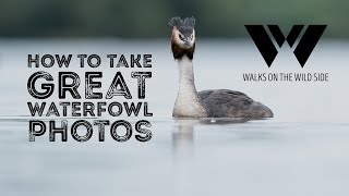 Create beautiful waterfowl photos - anyone can do it - even beginners screenshot 5