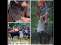 kurbanir har Tips