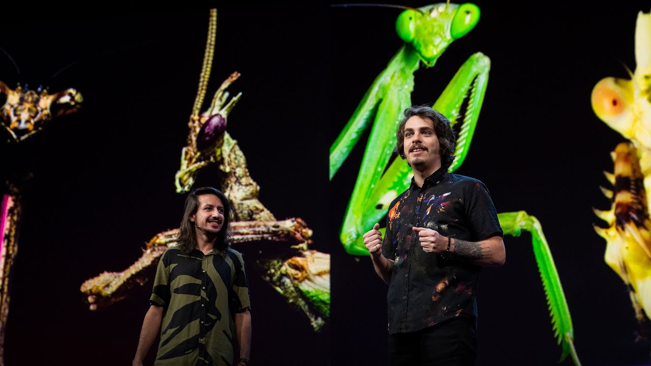 The Colorful, Shapeshifting Wonder of the Amazon's Praying Mantises | Leo Lanna and Lvcas Fiat | TED