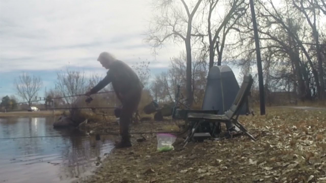 20211128 Bowles Grove Park One Wise Man; Two, Not So Much YouTube