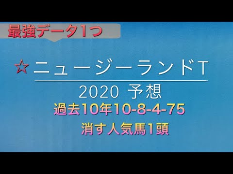 【競馬予想】　ニュージーランドT 2020 予想