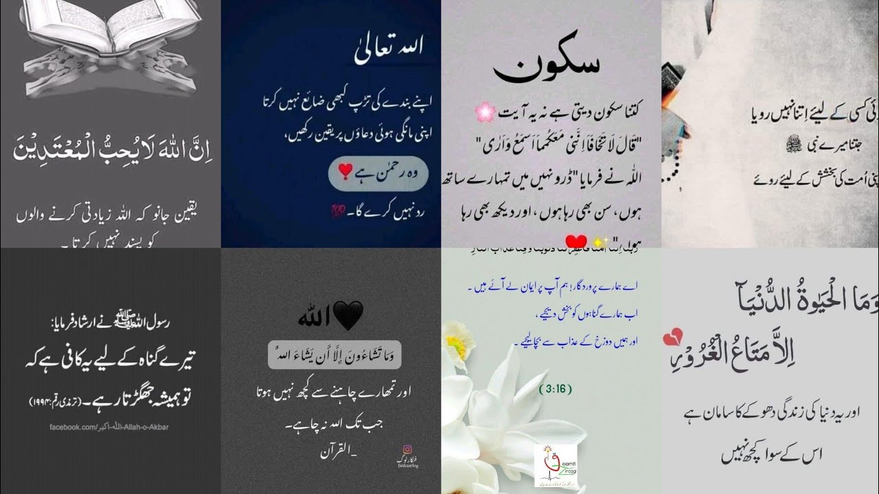 True Lines Islamic Dpzurdu Islamic Poetry Profile Photoswhatsapp