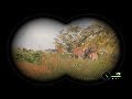 JAGER : The Deer and the Sea : COTW