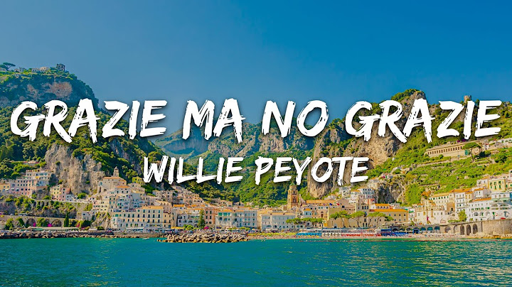 Willie Peyote - Grazie ma no grazie (Sanremo 2025) [Testo/Lyrics]