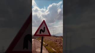Poci Poci Seta Resimi