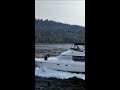 1995 Bayliner 4587 | Ignition Marine