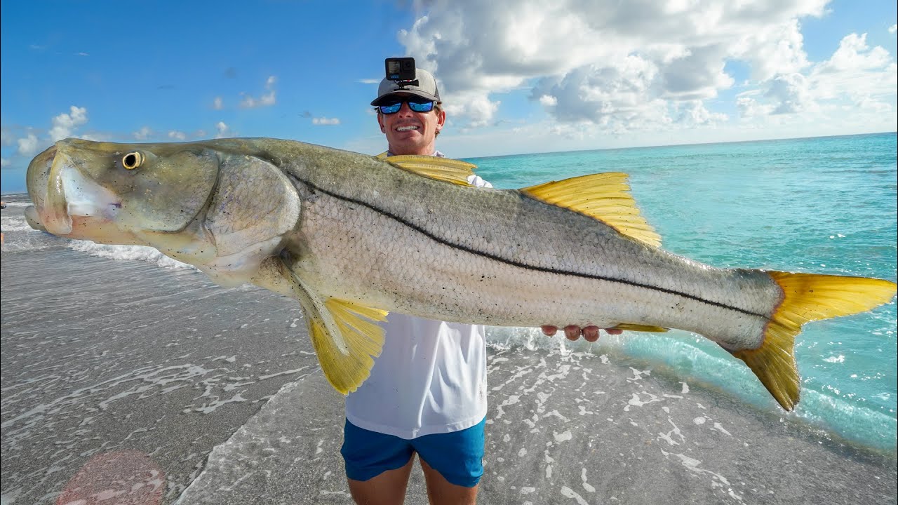 ILLEGAL to Buy or Sell this Fish…Catch Clean Cook (Mullet Run 2022