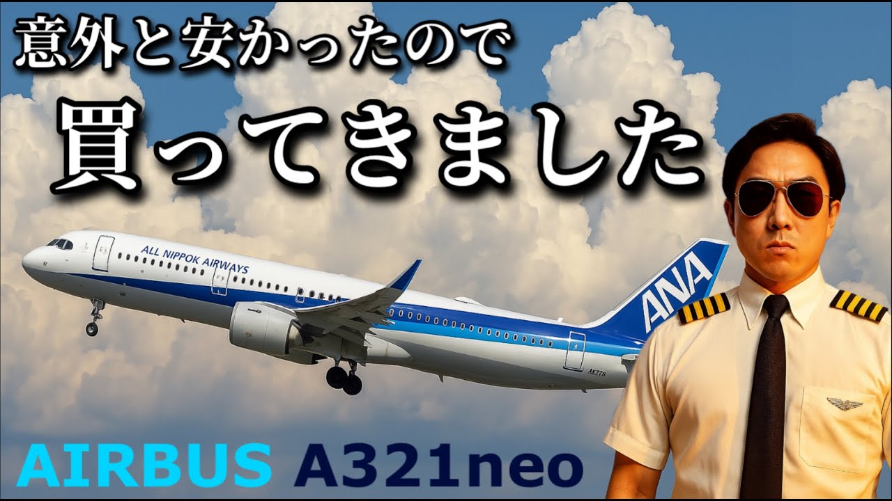 Millionaire's Shopping] I bought a reasonable small plane. - YouTube