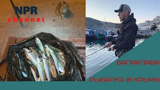 Рыбалка в Крыму - Балаклава. Бешенный клев Ставриды!