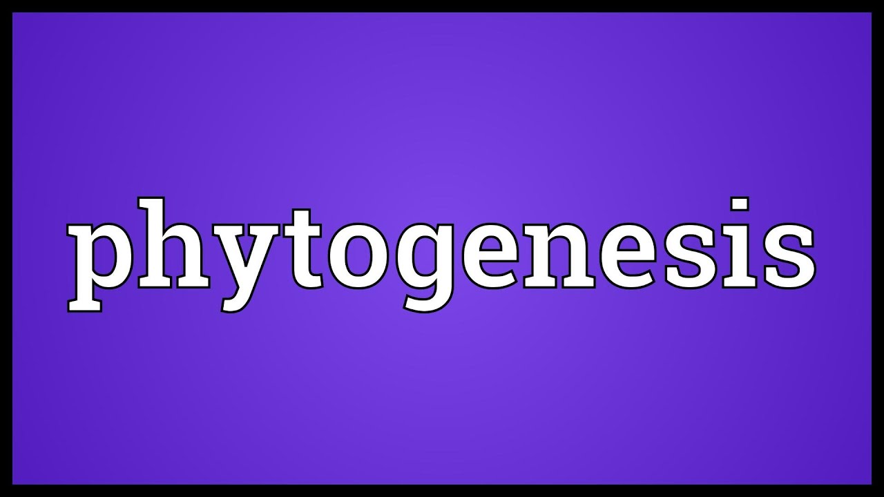 Phytogenesis Meaning - YouTube