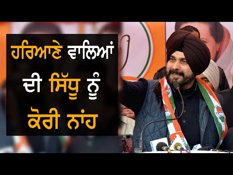 Navjot Sidhu ਤੋਂ ਹਰਿਆਣਾ ਕਾਂਗਰਸ ਨੇ ਬਣਾਈ ਦੂਰੀ | TV Punjab