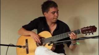 Iron Maiden - Blood Brothers (Acoustic) - Thomas Zwijsen