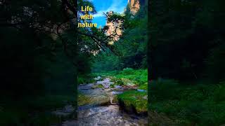 youtubeshorts nature lifewithnature mountain river riversounds