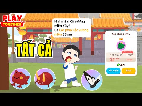 Video Toan Yolo Hunt All New Insects On Thien Long Island | Play Together - youtube