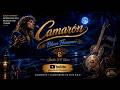 Camarón 🌙 Blues Flamenco 🎸 | Javito 507 Blues