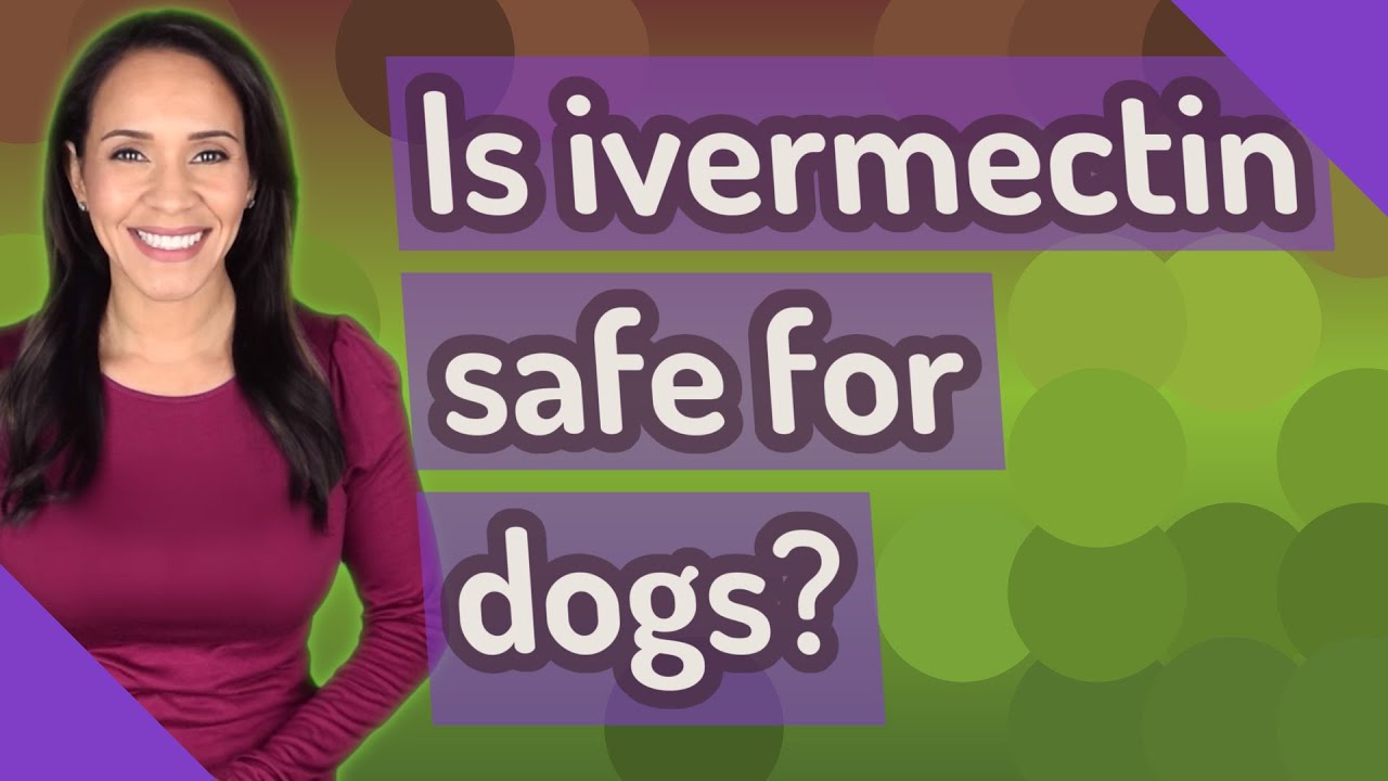 Is ivermectin safe for dogs? YouTube