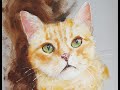 Pintando un gato al óleo/ Painting my cat. Oilpaint