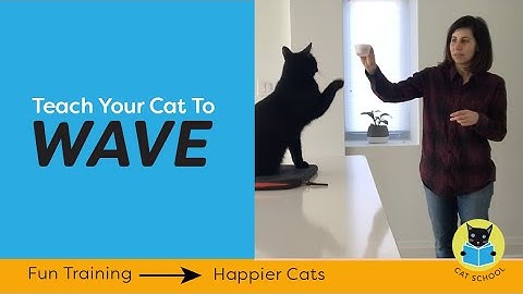Teach Your Cat To Wave