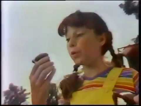 vintage helmet Hostess ad, 1981