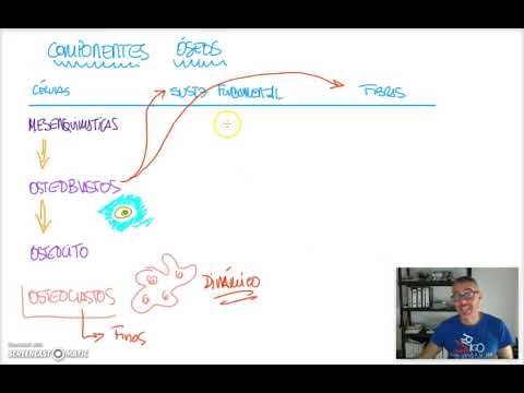 Video: ¿Se ha descontinuado Ortho Tri Cyclen Lo?