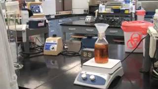 Agar Plate Pouring