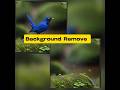 Background Remove Photoshop. #shorts #youtubeshorts #viralshorts #trending #graphicdesign