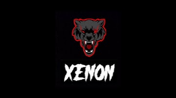 XENON new intro