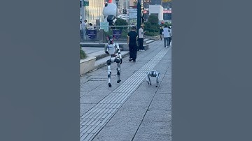 What’s wrong with China? 🇨🇳 Robots are everywhere now #robot #china #viral